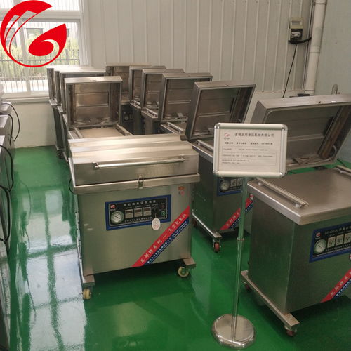 烤鴨小型真空包裝機 龍邦食品機械公司
